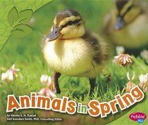 Animals in Spring (All about Spring)