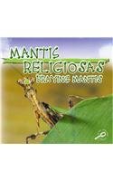 Mantis Religiosas: Praying Mantises (Biblioteca Del Descubrimiento De Los Insectos/Insects Discovery Library) (Spanish Edition)