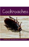 Cockroaches (Pebble Books)