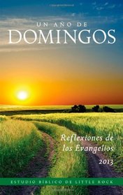 Un Ano de Domingos: Reflexiones Sobre Los Evangelios 2013 (Spanish Edition)