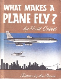 What Makes a Plane Fly?