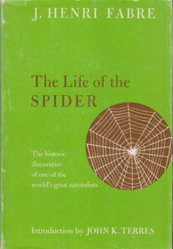 The life of the spider