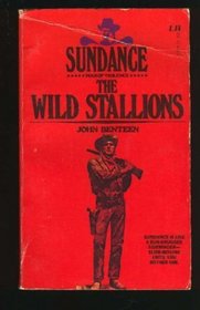 Wild Stallions