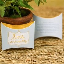 Little Miracles Window Message Cards (The Gift of Inspiration)