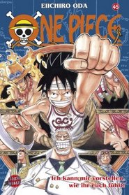 One Piece 45