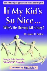 If My Kid's So Nice.... Why's He Driving Me Crazy?: Straight Talk About the 