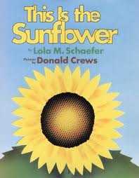 This is the Sunflower