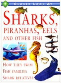 A Closer Look at Sharks, Piranhas, Eels and Other Fish