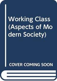 Working Class (Aspects of Modern Society)