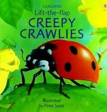 Creepy Crawlies (Usborne Lift-the-flap Book)