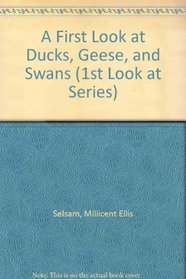 A First Look at Ducks, Geese, and Swans (1st Look at Series)