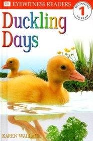 DK Readers: Duckling Days (Level 1: Beginning to Read)