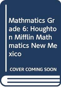 Houghton Mifflin Math New Mexico Edition 2007 Grade 6