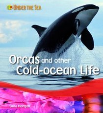 Orcas and Other Cold Ocean Life (Under the Sea)