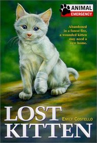 Lost Kitten (Animal Emergency)