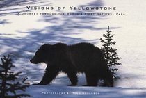 Visions of Yellowstone