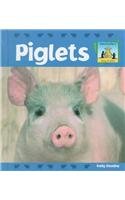 Piglets (Baby Animals)