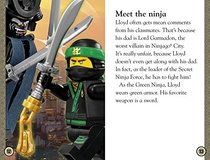 DK Readers L2: The LEGO NINJAGO MOVIE : Secret Ninja Force