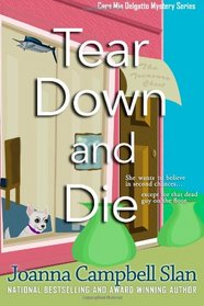 Tear Down and Die (Cara Mia Delgatto, Bk 1)