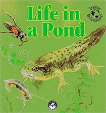 Life in a Pond (Exploring Our Environment)