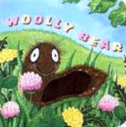 Wooly Bear