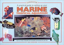 A Practical Guide to Setting Up Your Marine Tropical Aquarium