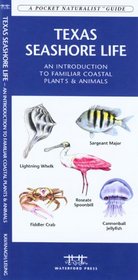 Texas Seashore Life: An Introduction to Familiar Plants and Animals (Pocket Naturalist - Waterford Press)