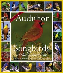 Audubon 365 Songbirds and Other Backyard Birds Picture-A-Day Calendar 2007