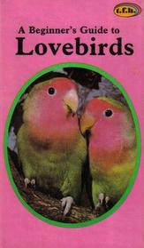 Beginner's Guide to Lovebirds