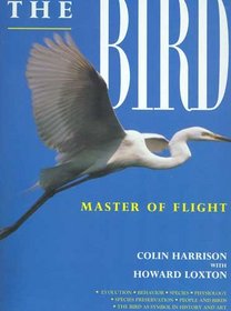 The Bird: Master of Flight