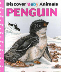 Penguin (Discover baby animals)