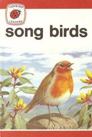 Song Birds (Ladybird leaders)