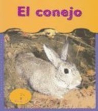 El Conejo/rabbits (Bajo Mis Pies / Under My Feet)