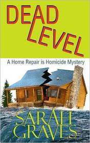 Dead Level (Center Point Premier Mystery (Large Print))