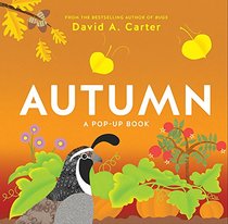 Autumn: A Pop-Up Book (Seasons Pop-up)