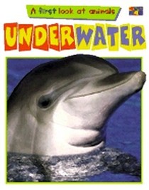 Underwater: A First Look At Animals (Jump! Starts)