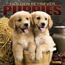 Golden Retriever Puppies 2005 Wall Calendar