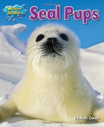 Seal Pups (Water Babies)
