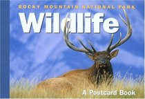 Rocky Mountain National Park Wildlife : A Postcard Book (Postcard Books)