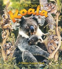 The Life Cycle of a Koala
