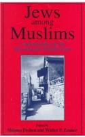Jews Among Muslims: Communities in the Precolonial Middle East