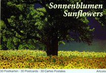 Sonnenblumen. 30 farbige Postkarten.