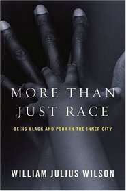 More than Just Race (Issues of Our Time)
