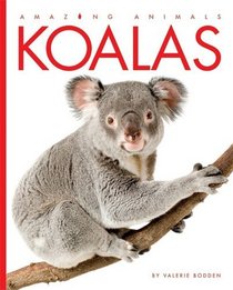 Koalas (Amazing Animals)