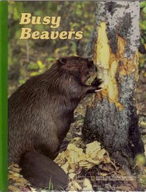 Busy Beavers (Books for young explorers)