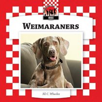 Weimaraners (Dogs Set 8)