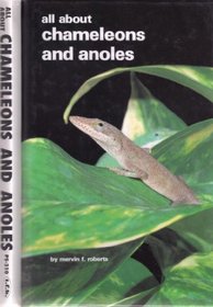 All About Chameleons and Anoles