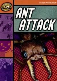 Ant Attack (Rapid)