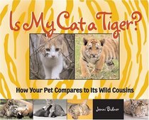 Is My Cat a Tiger?: How Your Cat Compares to Its Wild Cousins