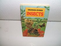 Insects Granada Guide